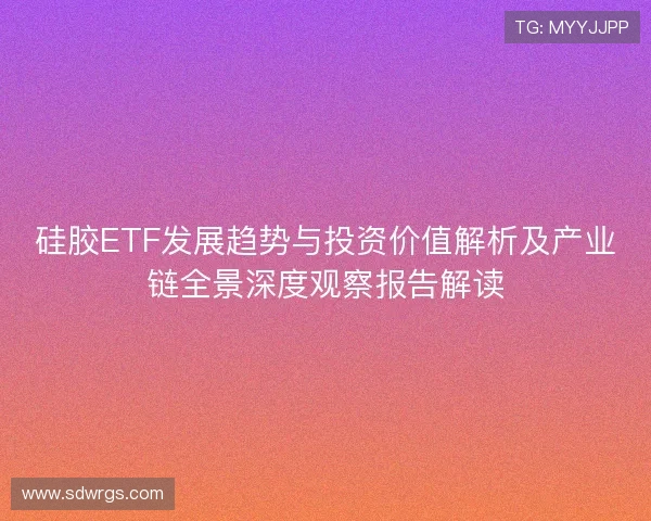 硅胶ETF发展趋势与投资价值解析及产业链全景深度观察报告解读