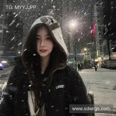 沈辉